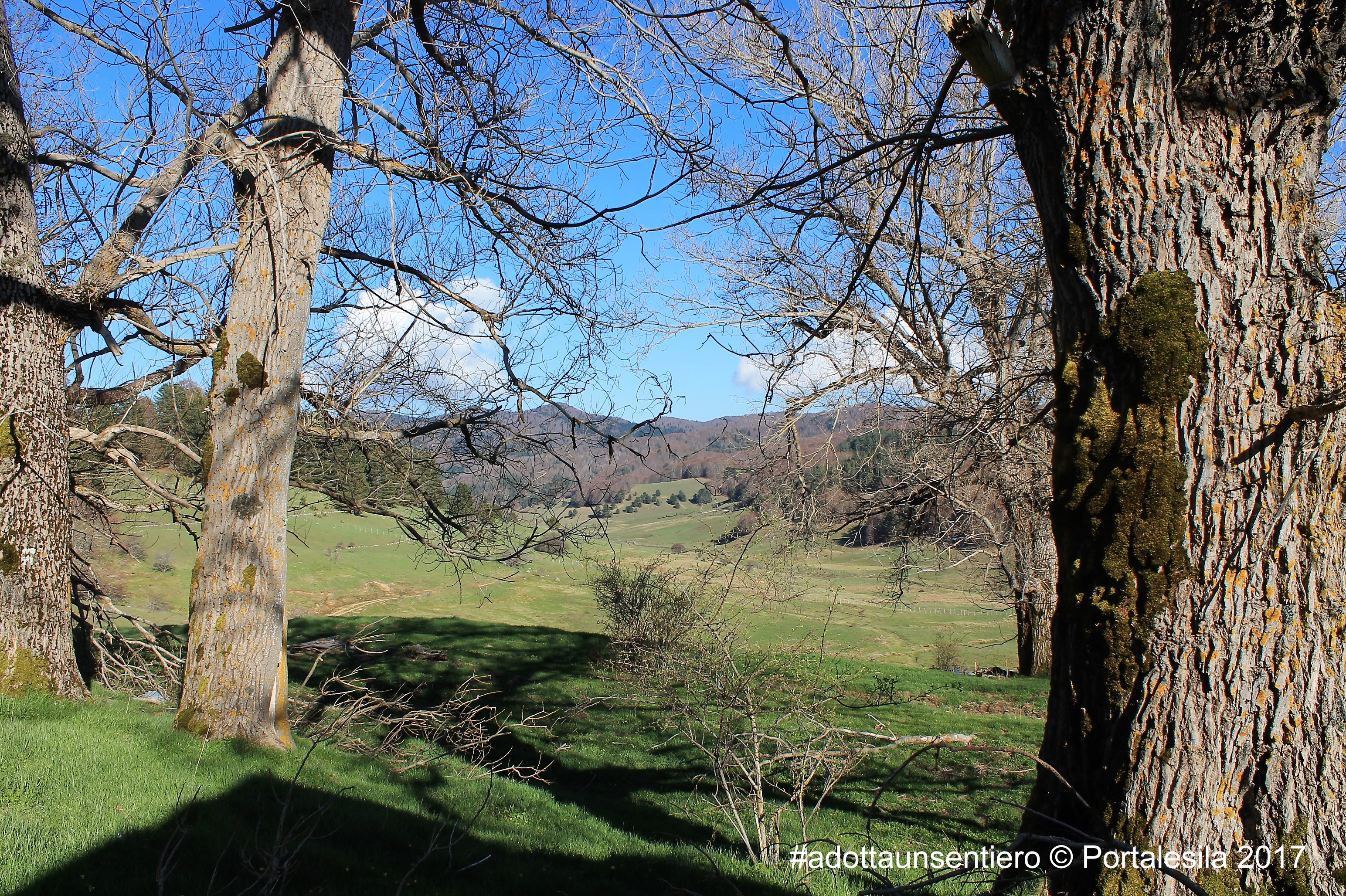 Vista panoramica dalla vaccheria alta con alberi secolari